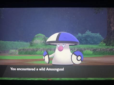 [8] Shiny Amoonguss to start my shiny alphabet challenge. Just 441 soft resets! : r/ShinyPokemon