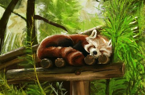 Baby Red Panda Wallpaper - WallpaperSafari