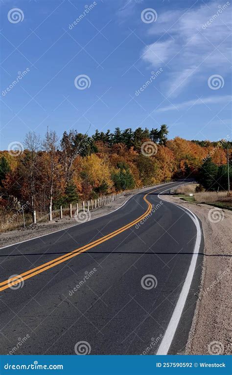 Aerial View of Road Surrounded by Dense Autumn Trees Stock Photo - Image of vegetation, grass ...