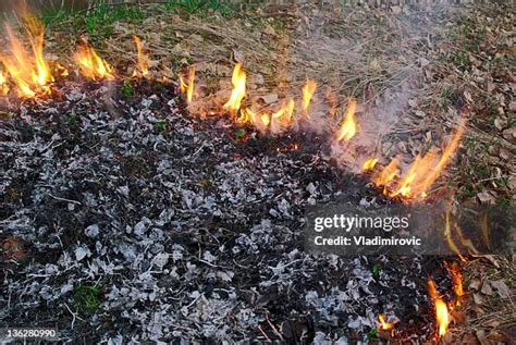 Fire Hazard Grass Photos and Premium High Res Pictures - Getty Images