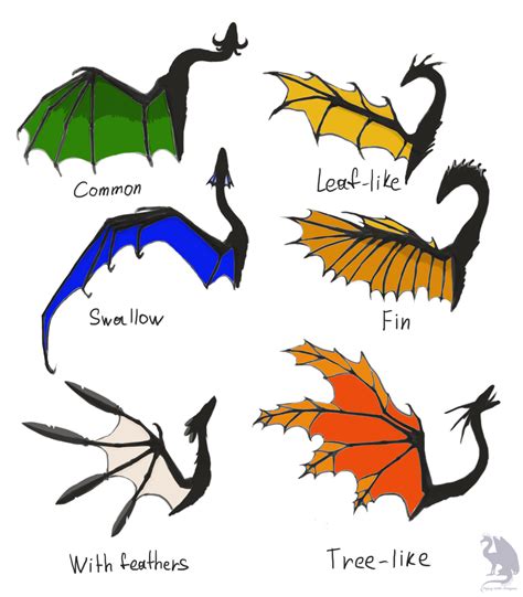 Dragon wings types by Flying-With-Dragons on DeviantArt