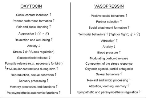 Figure . Love physiology: Oxytocin and vasopressin effects. Oxytocin... | Download Scientific ...