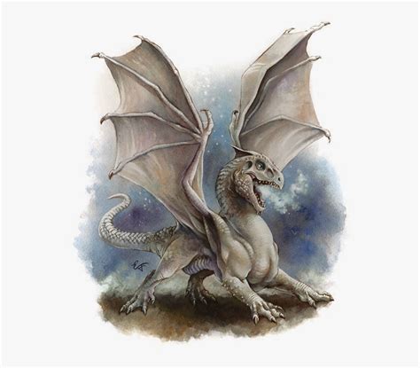 Snow Dragon, Ice Dragon, Black Dragon, Dragon Art, Types Of Dragons ...