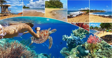 7 Best Kauai Snorkeling Spots | Videos, Photos, Parking, Facilities & More!