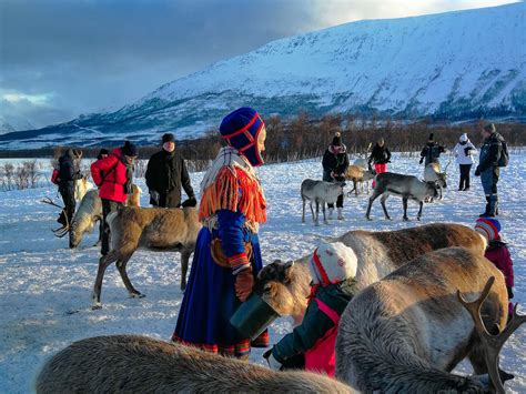 Be a part of our Sami Culture | Tromsø Lapland