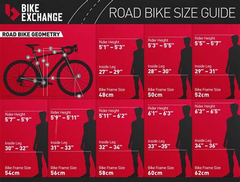 Fuji Bike Size Chart