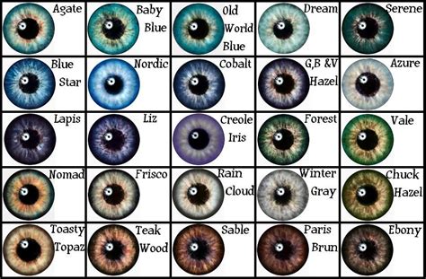 whats your eye color number eye color chart eye color chart - pin by dreamsgumi on interesting ...