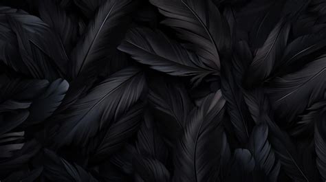 Premium Photo | Black feathers background