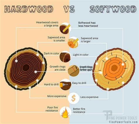 Hardwood vs. Softwood. Differences and Uses