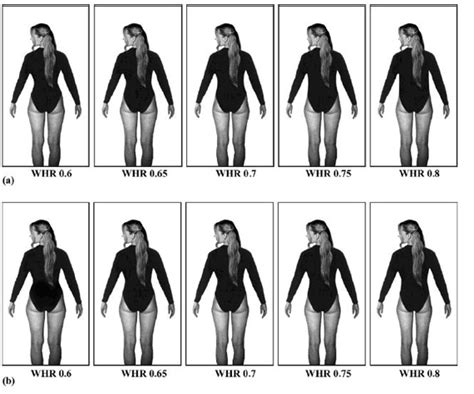 Year 12 Digital Technology - Media Studies: Hip to Waist Ratio and Feminine Beauty