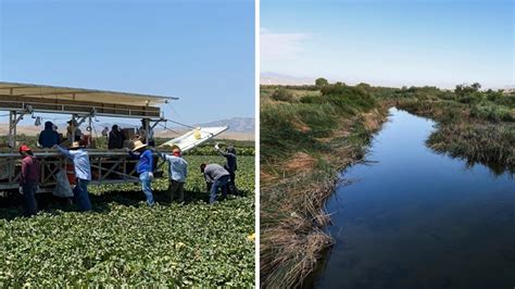 California 'failing to do its part' in water crisis, Stanton says | 12news.com