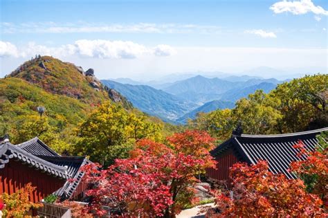 8 Picture-perfect Destinations In South Korea For Nature Lovers - KKday Blog