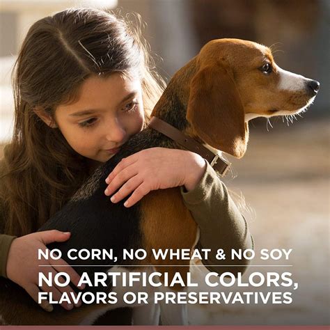 Hill's Ideal Balance Grain Free Dog Treats, Soft-Baked Naturals