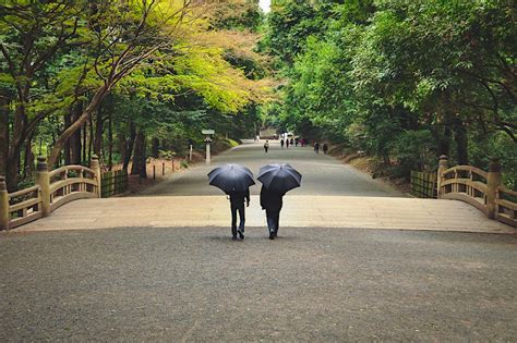 Best parks in Tokyo - Lonely Planet