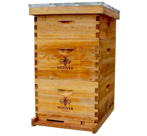 8 Best Bee Hive Starter Kits to Get in 2023 - Complete Beehives