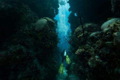 We now know what’s at the bottom of Belize’s Blue Hole - Lonely Planet