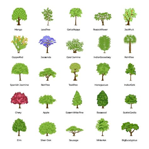 Acquire Types Of Trees Free Images - Www