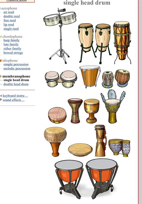 MEMBRANÓFONOS (single head drum). Left/ Right, Up/Down 1.-Timbales ...