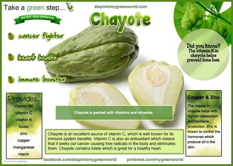 rainbowdiary: Chayote And Health Benefits