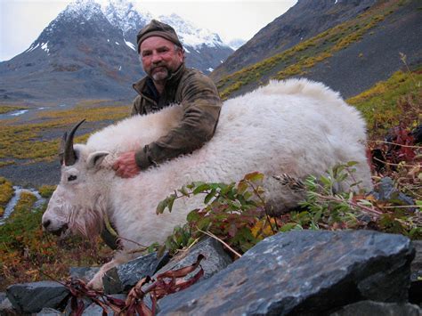 Alaska Mt. Goat Hunting - Guided Goat Hunts by Vast Alaska