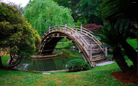 Wooden bridge in a japanese garden wallpaper - World wallpapers - #46816