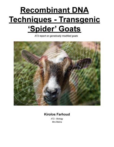 AT2 Report - Recombinant DNA Techniques - Transgenic ‘Spider’ Goats AT2 report on genetically ...