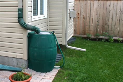 A Step-by-step Guide To Adding A Pump To Your Rain Barrel | GardeningLeave