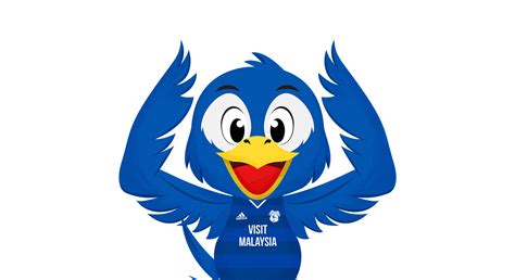 Cardiff City FC Mascot Design - Bartley Bluebird on Behance