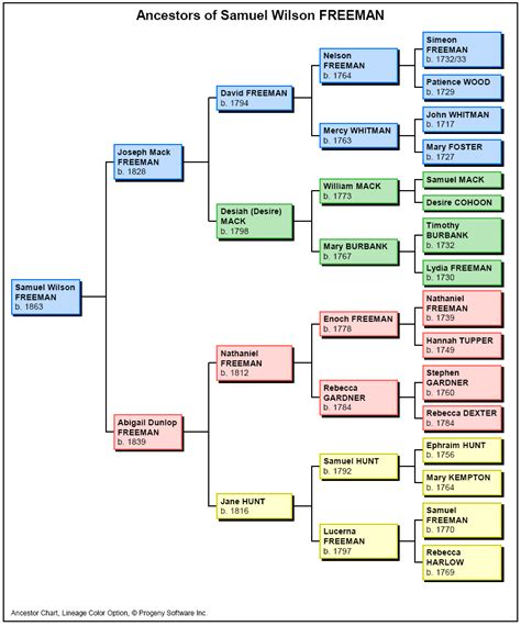 family tree - What type of chart is this? - Genealogy & Family History Stack Exchange