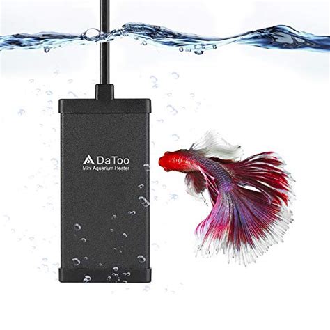 Is The Best 2 Gallon Fish Tank Heater Worth Buying? - Heater Guide