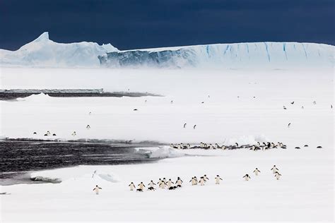 Researchers develop new approach to understand the impacts of climate ...