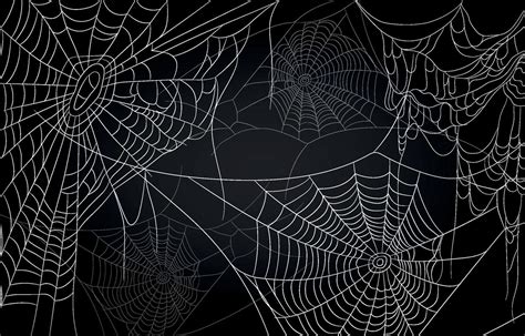 Spider Web Background 3106492 Vector Art at Vecteezy