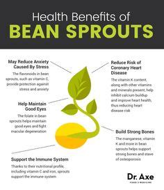 Benefits Of Mung Bean Sprouts