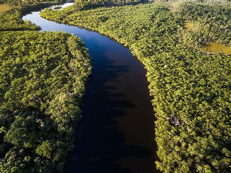 5 Countries With the Largest Rainforest Coverage - WorldAtlas