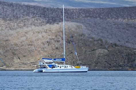 Cruises to Galapagos Islands for next week - GalapagosInformation.com Blog