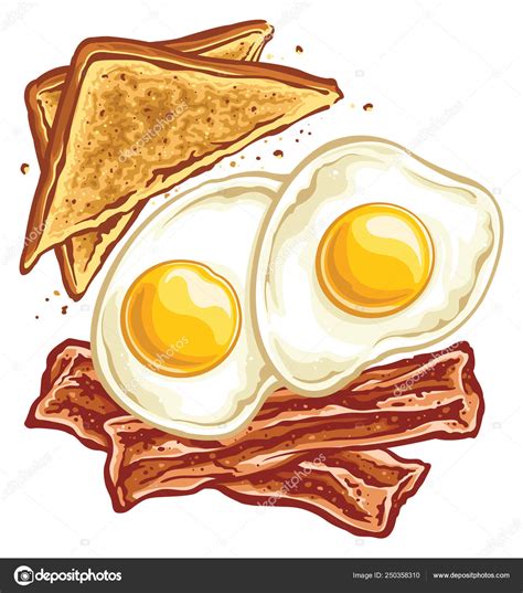 Bacon Eggs Toast — Stock Vector © SlipFloat #250358310