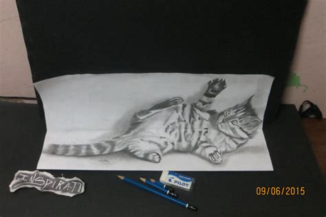 3D Cat Drawing ... by skrillex8 on DeviantArt