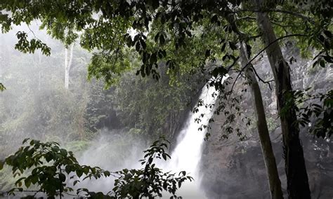 Soochipara Waterfalls, Wayanad | MY WAYANAD