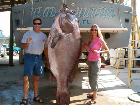 Big Fishes of the World: GROUPER GOLIATH (Epinephelus itajara)