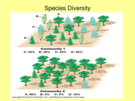 PPT - Species Abundance and Diversity PowerPoint Presentation, free ...