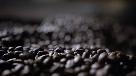 Dynamic Coffee Beans Falling Slow Motion Stock Footage SBV-347541971 - Storyblocks