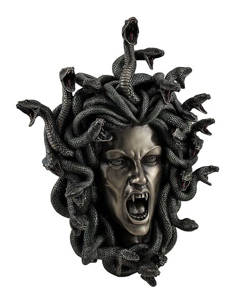 Medusa Head