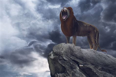 Download Simba Movie The Lion King (2019) 4k Ultra HD Wallpaper