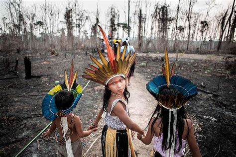 Greenpeace brings stories of the Indigenous People of the Amazon. This year, fires raged mainly ...