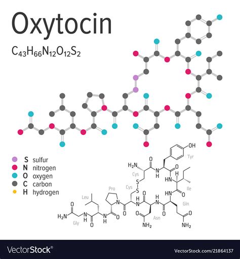 amudu: Oxytocin “love hormone" (The connection between love and oxytocin)