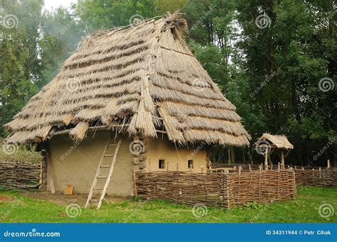 Old House With Straw Roof In The Dense Forest Stock Image | CartoonDealer.com #1657063