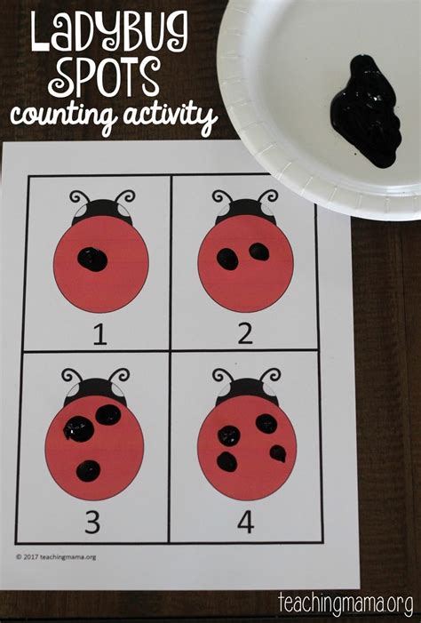 Ladybug Spots Counting Activity