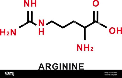 Arginine chemical formula. Arginine chemical molecular structure. Vector illustration Stock ...