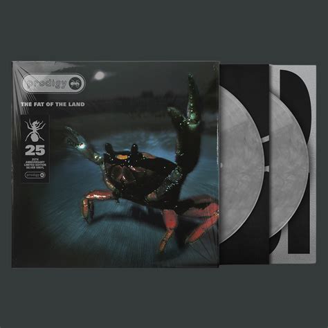 The Prodigy | Fat of the Land [Double Silver Coloured Vinyl Album] 2LP – SiopaCeoil.com