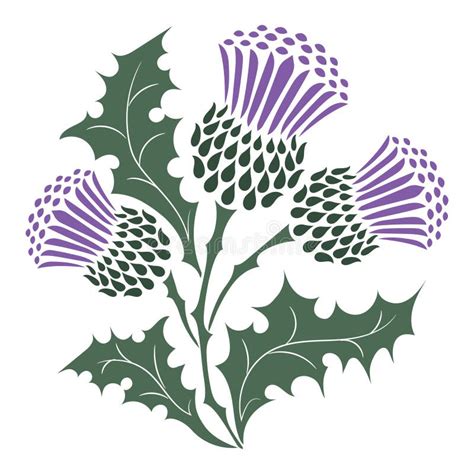 Scottish Thistle Stock Illustrations – 744 Scottish Thistle Stock Illustrations, Vectors ...